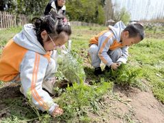 -前小桔亲子创意农场·草莓采摘·露营烧烤