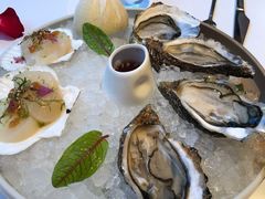 法国空运生蚝-福楼法餐厅FLO