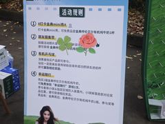 -南汇桃花村