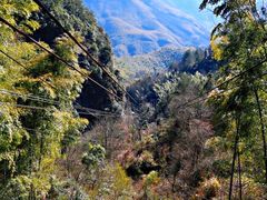 -黄山温泉国际旅游度假区