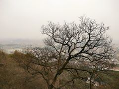 -灵岩山风景区