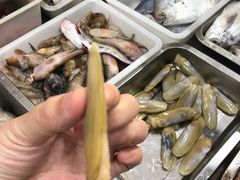 -梅子大排档