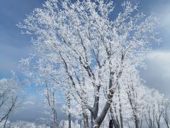 -中旅松花湖滑雪场