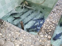 -白洋淀锅里口灶台鱼