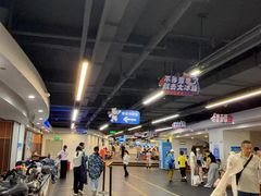 -世界之窗阿尔卑斯冰雪世界