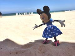 -海南清水湾莱佛士酒店