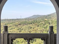 -灵谷景区
