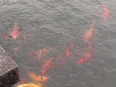 -西湖天地