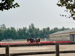 -北京群众马术培训基地