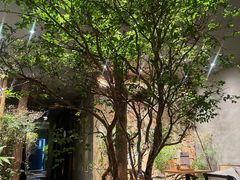 -森SPA·泰式按摩·精油Massage(宝安中心店)