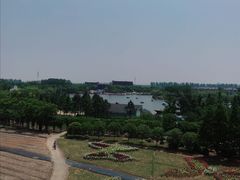 -杭州湾海上花田景区