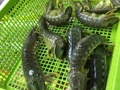 -班赞海鲜市场