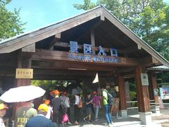 -大湾区中央湿地公园