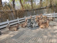 -北京野生动物园