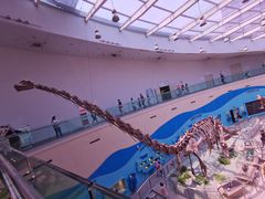 -陕西自然博物馆