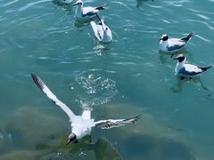 -青海湖二郎剑景区