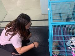 -悦河马家庭桌游剧本馆(朝阳门店)