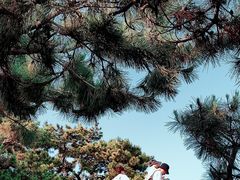 -青岛第二海水浴场