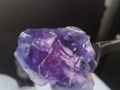 -津椰本·海南正宗椰奶清补凉(店一店)