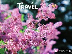 -国家植物园