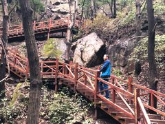 -大岭沟猕猴桃谷风景区