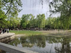 -莲湖公园
