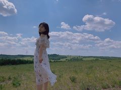 -御道口草原森林风景区