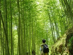 -千泷沟大瀑布旅游区