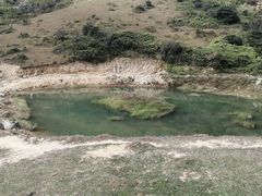 -大姆山草场