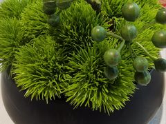 -潇湘府•湘菜领军品牌(望京店)