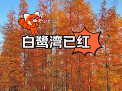 -白鹭湾湿地公园