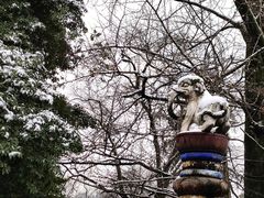 -都江堰景区