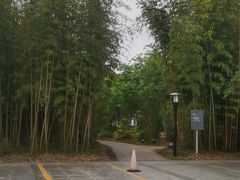 -福建鲤鱼洲酒店