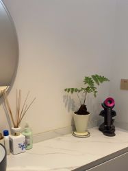 -WENDY·温迪皮肤管理