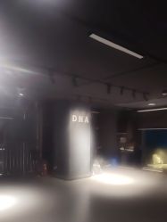 -DNA舞室