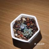 超高性价比！拿到自己的结婚钻戒💍