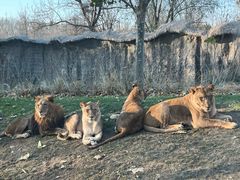 -北京野生动物园