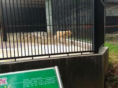 -广东茂名森林公园