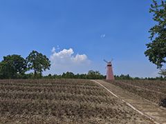 -同里国家湿地公园