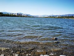 -永定河休闲森林公园