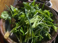 -霞姐屯昌枫木香草鸭店(海螺店)