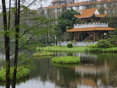 -东山湖公园