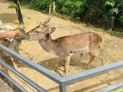 -李小龙乐园(顺德均安店)