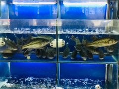 水产区-百家鲜·杭帮菜