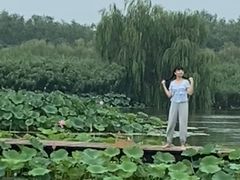 -白洋淀景区