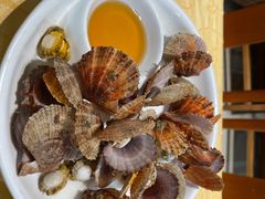 蒸扇贝-海岛渔村大酒店(云霄路店)
