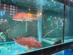 -金海阁海鲜火锅