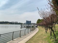 -美兰湖景区