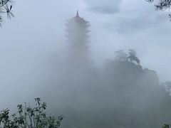 -缙云山景区