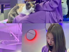 -极木²邸 人与宠物·互动社区